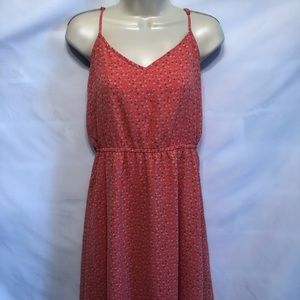 Floral Rose Print Cinched Dress